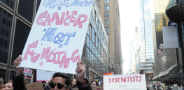 National Cancer Institute—world’s premier cancer research center—victim of RFK’s cuts and chaos agenda